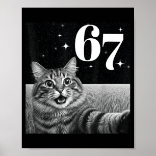 Kattenzelfie Met 67 Meme Grappige Katten Grafisch  Poster