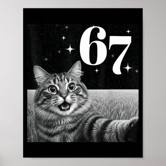 Kattenzelfie Met 67 Meme Grappige Katten Grafisch Poster (Voorkant)