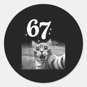 Kattenzelfie Met 67 Meme Grappige Katten Grafisch Ronde Sticker