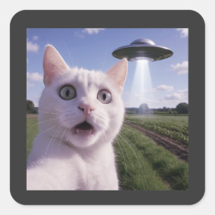 Kattenzelfie met buitenaardse UFO Vierkante Sticker