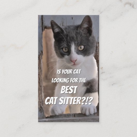 Kattenzetters grappige thuisverzorging, busje visitekaartje (Voorkant)