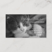 Kattenzetters grappige thuisverzorging, busje visitekaartje (Achterkant)