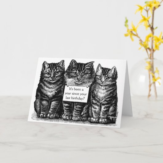 kattenziektebewijs kaart (Gele Bloem)