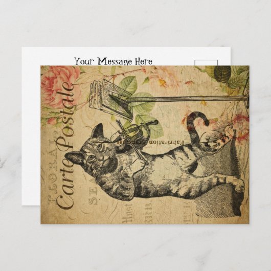  kattethema | Carte Postale | Kat en gier Briefkaart (Voorkant / Achterkant)