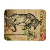  kattethema | Carte Postale | Kat en gier Magneet (Horizontaal)