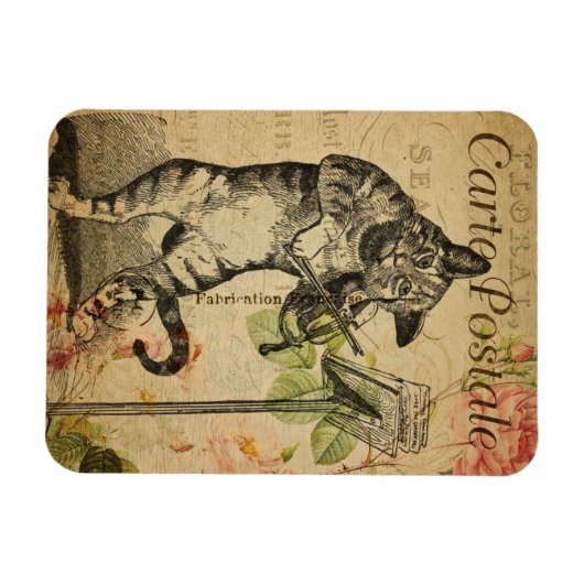  kattethema | Carte Postale | Kat en gier Magneet (Horizontaal)