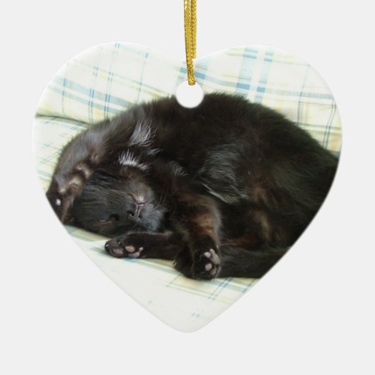 kattevoer keramisch ornament (Voorkant)