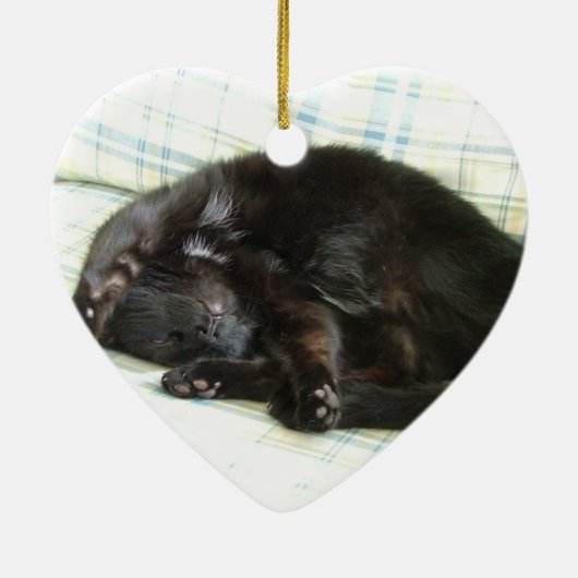 kattevoer keramisch ornament (Achterkant)