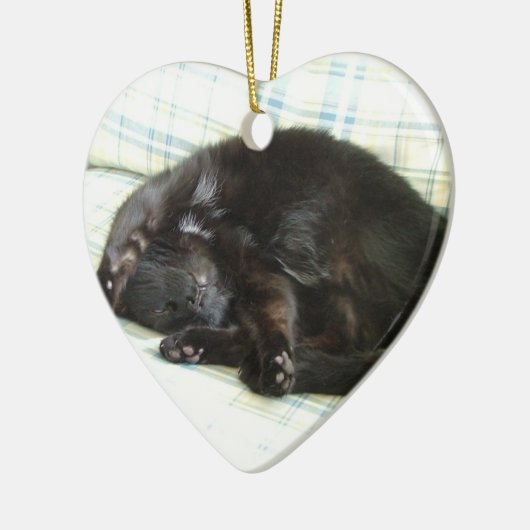 kattevoer keramisch ornament (Links)