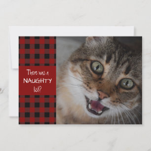 Kattig Kat Kerstmis Rode Plaid MEOWY KERST Feestdagenkaart