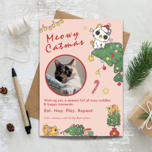 Kattig Katkerstmis Mooie Katten Kerst Foto Feestdagenkaart