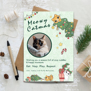 Kattig Katkerstmis Mooie Katten Kerst Foto Feestdagenkaart