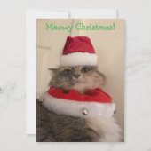 Kattig kerstfeest kaart (Voorkant)