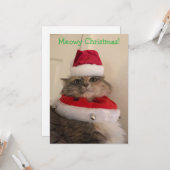Kattig kerstfeest kaart (Voorkant / Achterkant in situ)