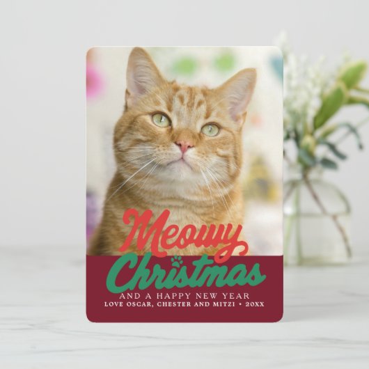 Kattig kerstfeest Mooie kattenfoto Kerstmis Feestdagenkaart (Staand voorkant)