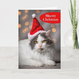 Kattig kerstfeest voor iedereen Cute Kat in Sinter Feestdagen Kaart
