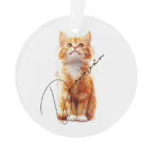 Kattig Kerstmis: Festieve Kat 