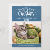 Kattige kerst en een perfect nieuwjaarskaart (Voorkant)