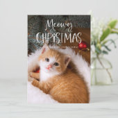 Kattige Kerstmis | Mooie Grappige Huiskat Foto Feestdagenkaart (Staand voorkant)