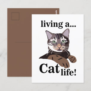 Kattige poes grappig briefkaart