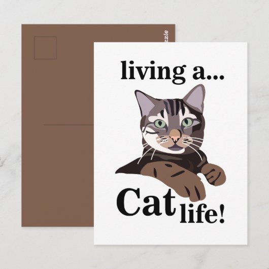 Kattige poes grappig briefkaart (Voorkant / Achterkant)