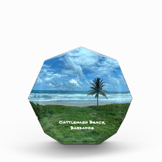 Kattlewash Beach, Barbados Fotoblokken (Voorkant)
