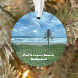 Kattlewash Beach, Barbados Ornament
