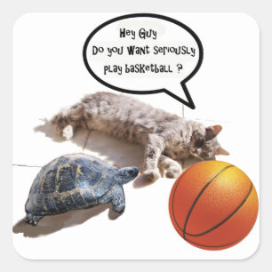 KATTURTLE EN BASKETBALL VIERKANTE STICKER