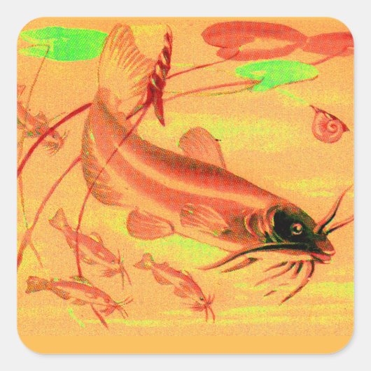 katvis vierkante sticker (Voorkant)