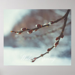 Katwil takken met katjes in de late winter poster