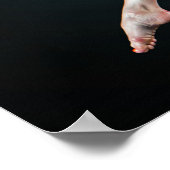 Katya's Ballerina Jump Pin Up Poster (Hoek)