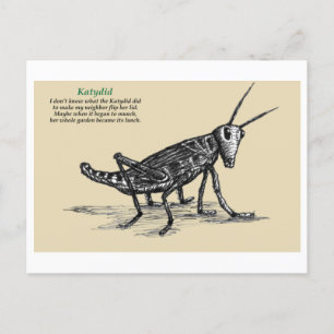 Katydid Briefkaart