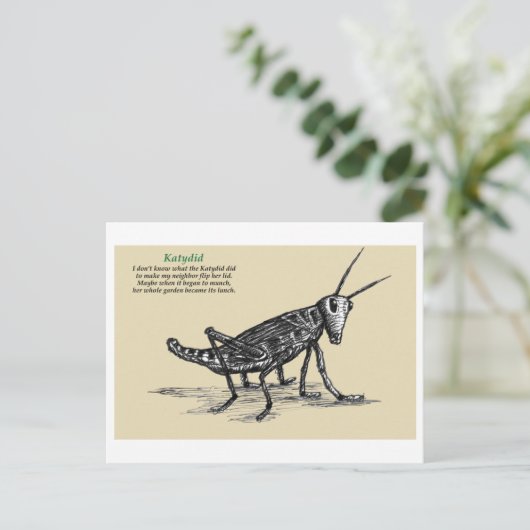 Katydid Briefkaart (Staand voorkant)
