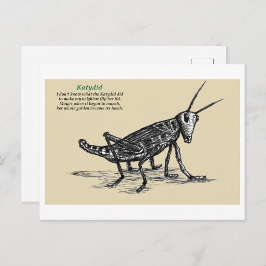Katydid Briefkaart (Voorkant / Achterkant)