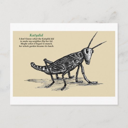 Katydid Briefkaart (Voorkant)