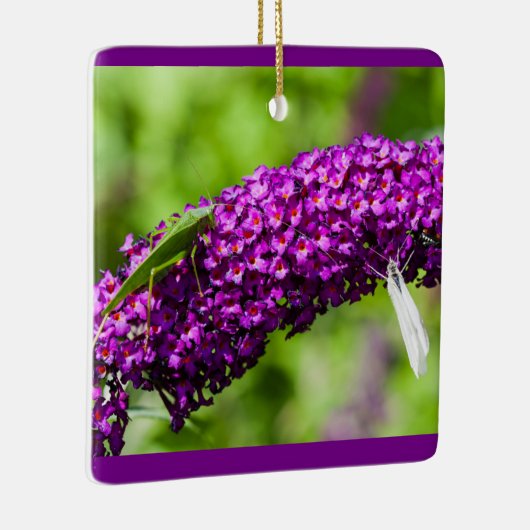 katydid energie keramische ornament (Rechts)