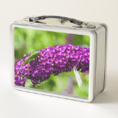 katydid energy (Achterkant)