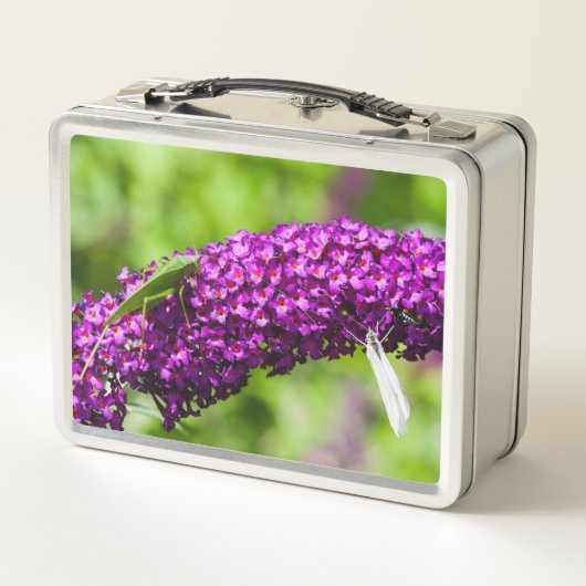 katydid energy (Achterkant)