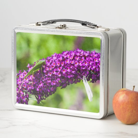 katydid energy (In situ)