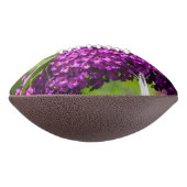 katydid energy american football (Gedraaid 270)