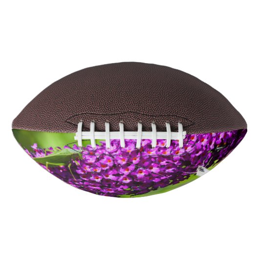 katydid energy american football (Voorkant)