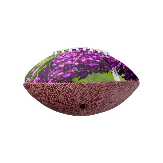 katydid energy american football (Gedraaid 270)