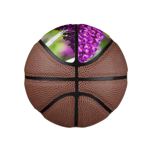 katydid energy basketbal (Rechts)