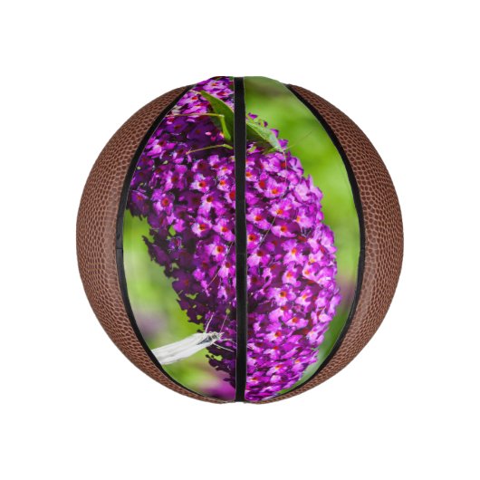 katydid energy basketbal (Verticaal)