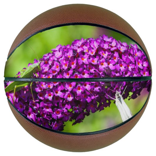 katydid energy basketbal (Voorkant)