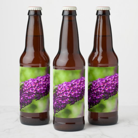 katydid energy bier etiket (Flessen)