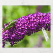 katydid energy bier etiket (Enkel label)