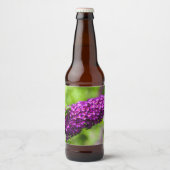 katydid energy bier etiket (Voorkant)