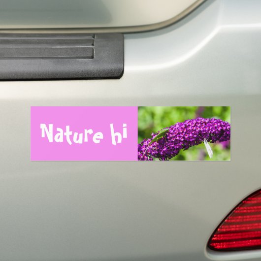 katydid energy bumper sticker (Op auto)