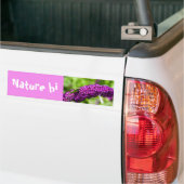 katydid energy bumper sticker (Op Truck)